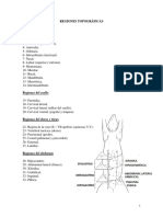 Regiones Topograficas