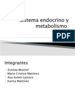 Sistema Endocrino Fisiopatologia