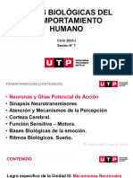 S07.s1 - Neuronas y Glías Potencial de Acción