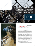 Practico Enciclopedia Aves