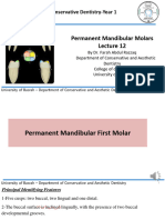 9 Mandibular Molar