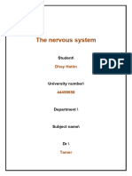 The Nervous System