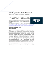 Voies de Signalisation Des MAP Kinases Et