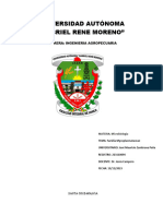 PDF Documento