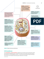 Cell Organelles