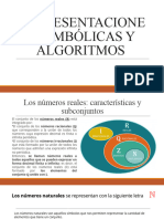 Representaciones Simbólicas y Algoritmos