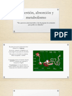 Digestión Absorción y Metabolismo