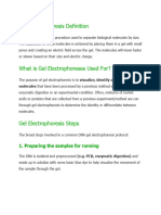 Gel Electrophoresis Definition