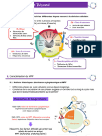 Cycle Cellulaire RESUME