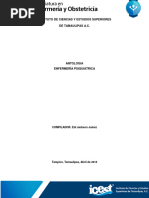 PDF Documento