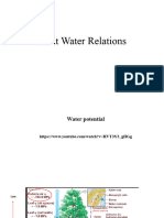 Plant Water Relations