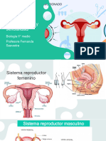 Sexualidad y Reproducción