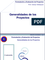 Generalidades de Los Proyectos