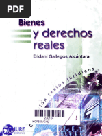 Bienes y Derechos Reales - Eridani