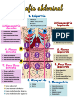 Topografía Abdominal