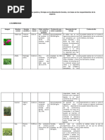 Identificar La Importancia de Los Pastos y Forrajes en La Alimentación Bovina