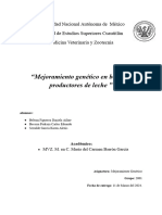 Mejoramiento Genético en Bovinos Productores de Leche