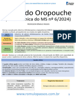 Atualização Febre Oropouche (NT 6-2024)