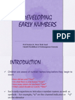 Pre Number Concepts