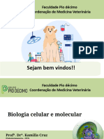 Aula 01 - Biologia Celular - KMLC - 2024.1