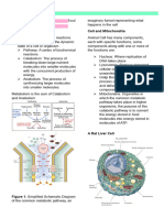 Biochemistry Mini Notes