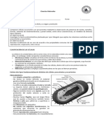Actividad2 Celulas CienciasNaturales 7°básico