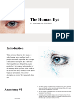 The Human Eye