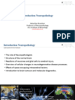 Lecture 2nd Year NeuropathIntro - v3