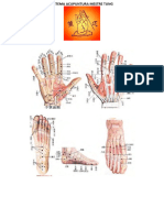 Sistema Acupuntura Mestre Tung