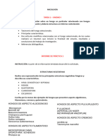 Tarea 1 - Informe 1 y 2 - Estructuras Vegetativas - Crecimiento Fungico