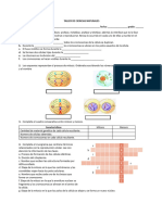 Mitosis y Meiosis