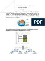 Clase 4 Funciones Vitales de Los Seres Vivos