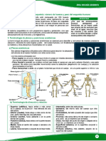 Tema 1 Sistema Oseo 4to Sec. - Editado