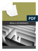 Chapter 1 Intro To Economics - 9914937e c0f1 4fa8 9418 Bb9f4270ae76