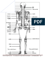 Anatomie App Locoteur