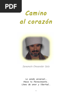 Libro Camino Al Corazón 2011