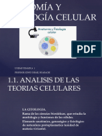 Anatomia y Fisiología Celular