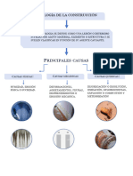 Taller de Patologia