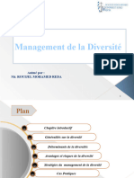 Cours Management de Diversité