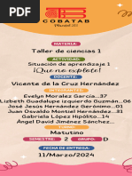 Infografia Taller de Ciencias 2D Situacion de Aprendizaje 1