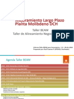 Informe Taller BEAM Planta Molib FINAL - 20dic18