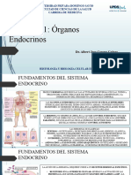 Órganos Endocrinos