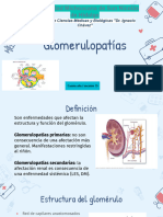 Glomerulopatias