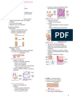 E1.3 Body Tissues