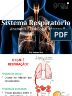 Aulasistemarespiratrio 230922201146 69c58a19