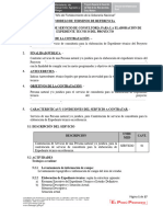 Modelo de TDR - Consultor de Expediente Tecnico Provraem