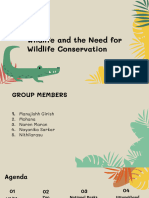 Wildlife and The Need For Wildlife Conservation