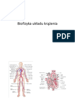 Biofizyka Układu Krążenia-Min