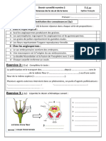 Devoir 2 Modele 2 SVT TC Semestre 2