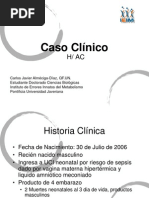 PDF Documento